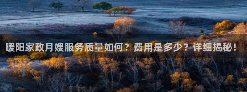 杏悦平台可靠吗可信吗安全吗