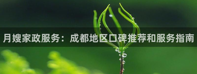 杏悦平台如何