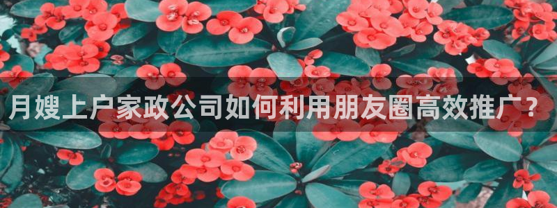 杏悦平台招商