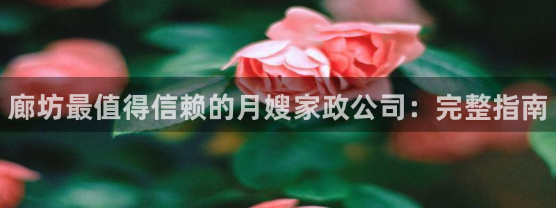杏悦总代理