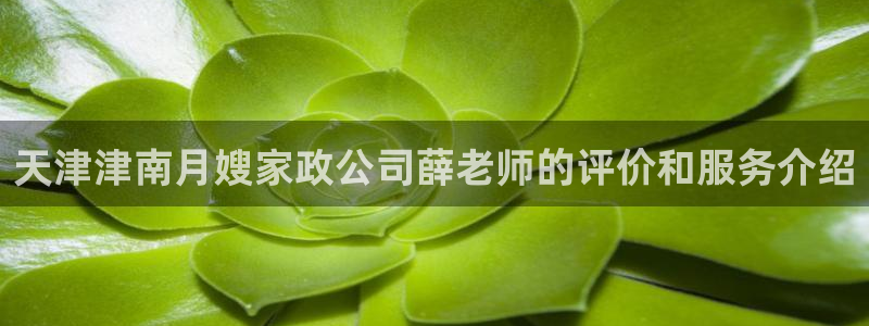 杏悦平台代理怎么赚钱的