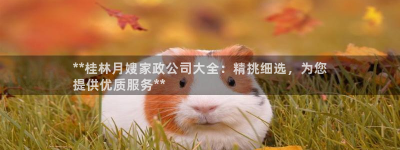 杏悦平台开户地址