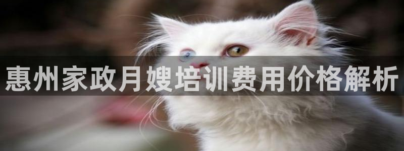 杏悦平台主管