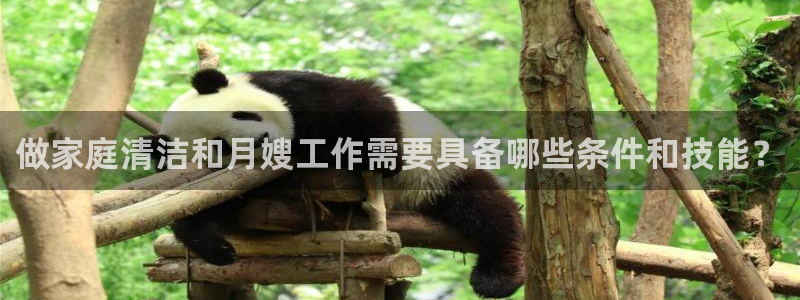杏悦平台代理怎么做赚钱